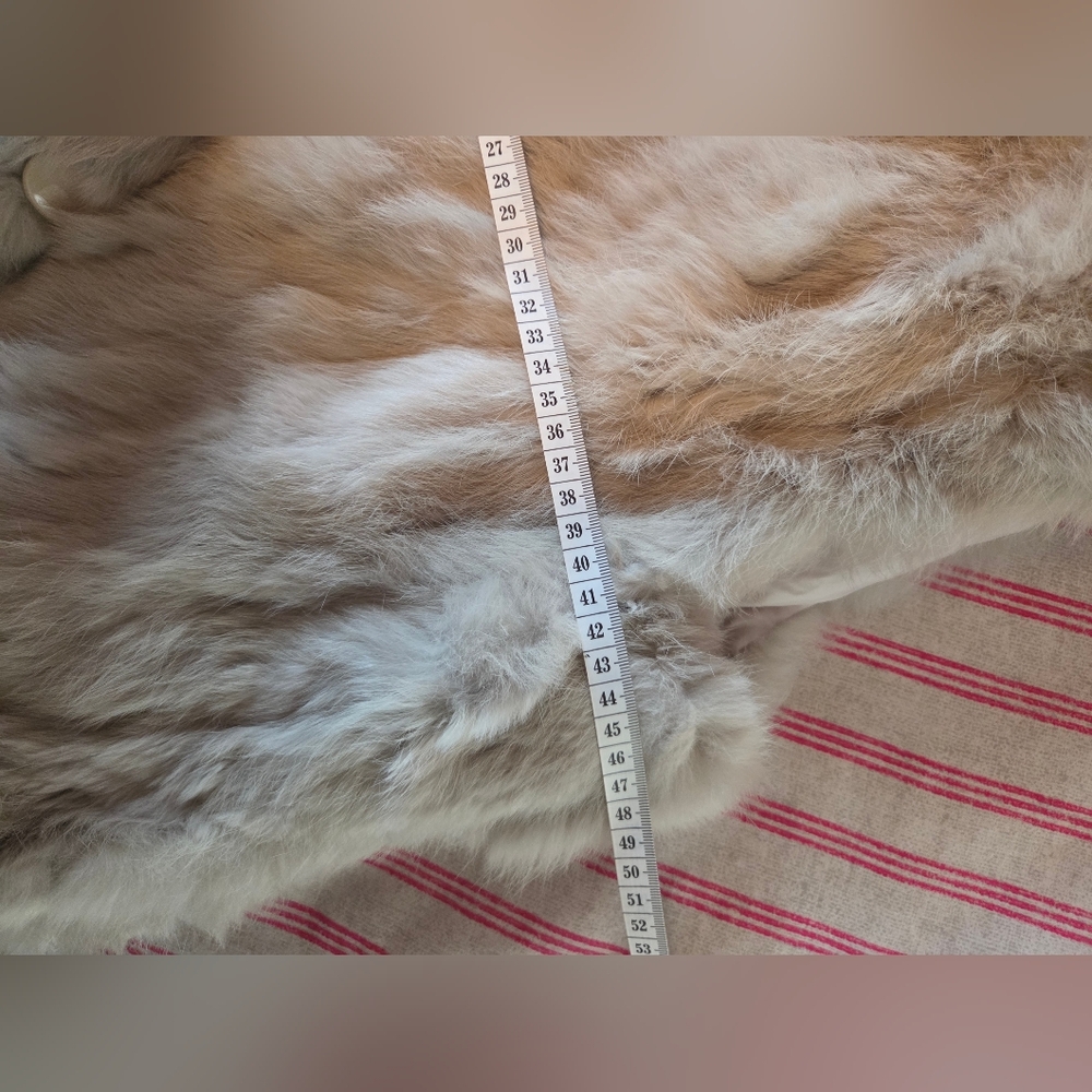 Magnificient Rabbit Fur Vest - Picture 8 of 9